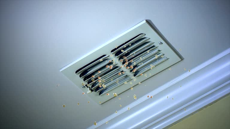 Best Duct Cleaning for Offices  in Killian, LA
