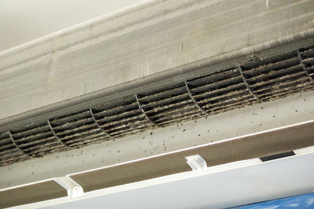 Best Local Air Duct Cleaning Services  in Killian, LA